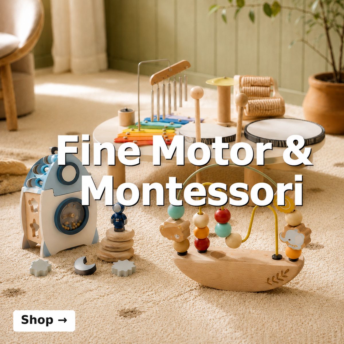 Fine Motor & Montessori